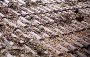 Woods Cross roof cleaning companies