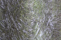 Woods Cross fibreglass roof work